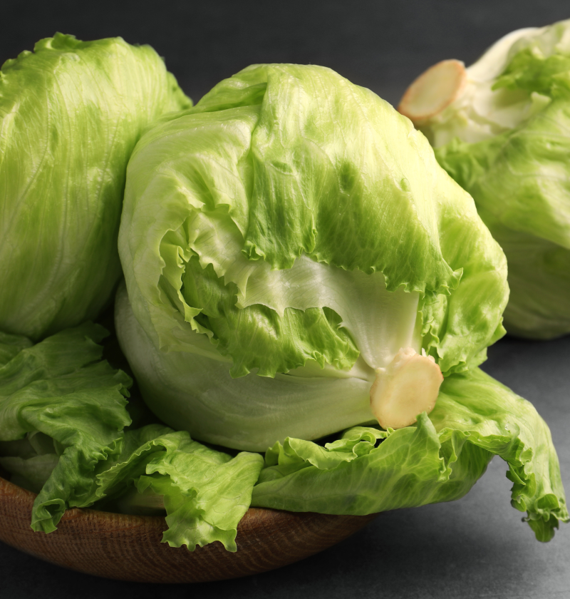 Lechuga